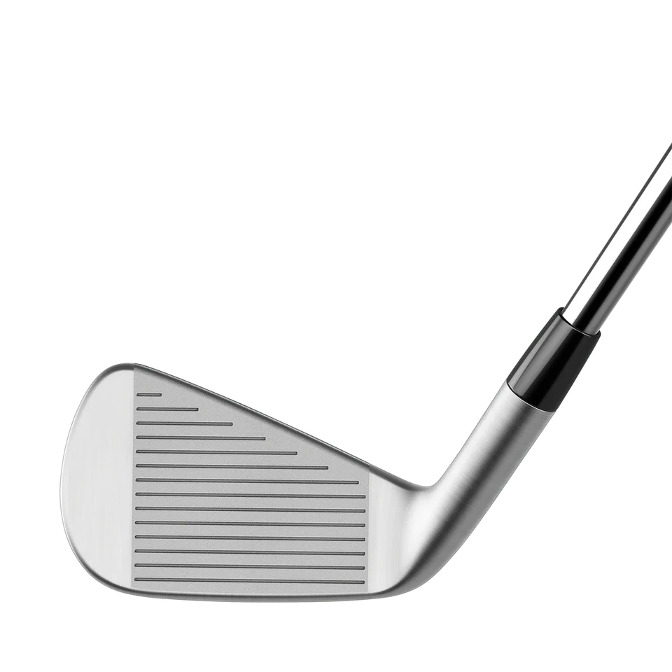 TaylorMade P790 Irons